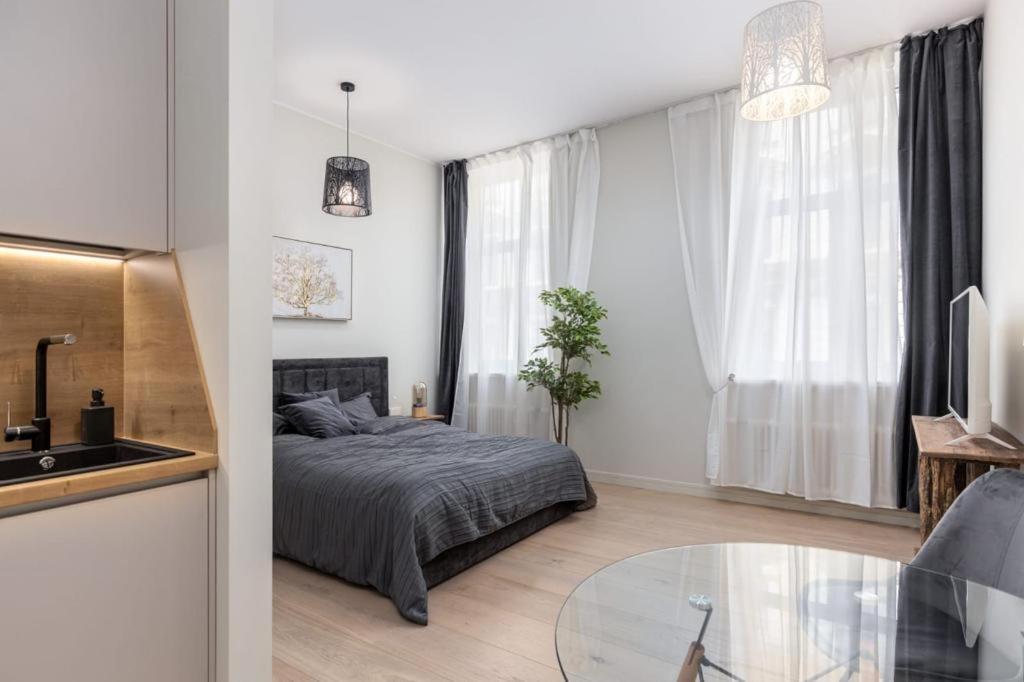 Kalnina Street Studio Apartment リガ エクステリア 写真