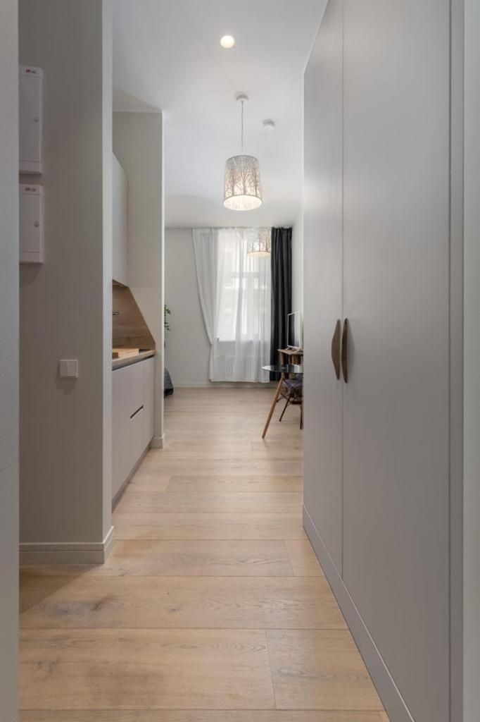 Kalnina Street Studio Apartment リガ エクステリア 写真
