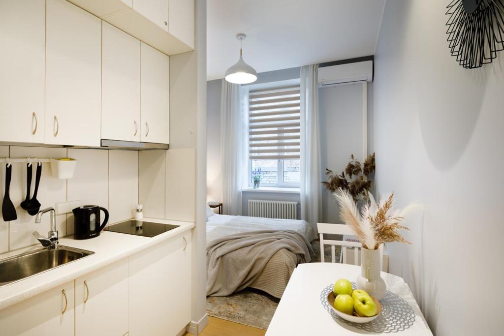 Kalnina Street Studio Apartment リガ エクステリア 写真