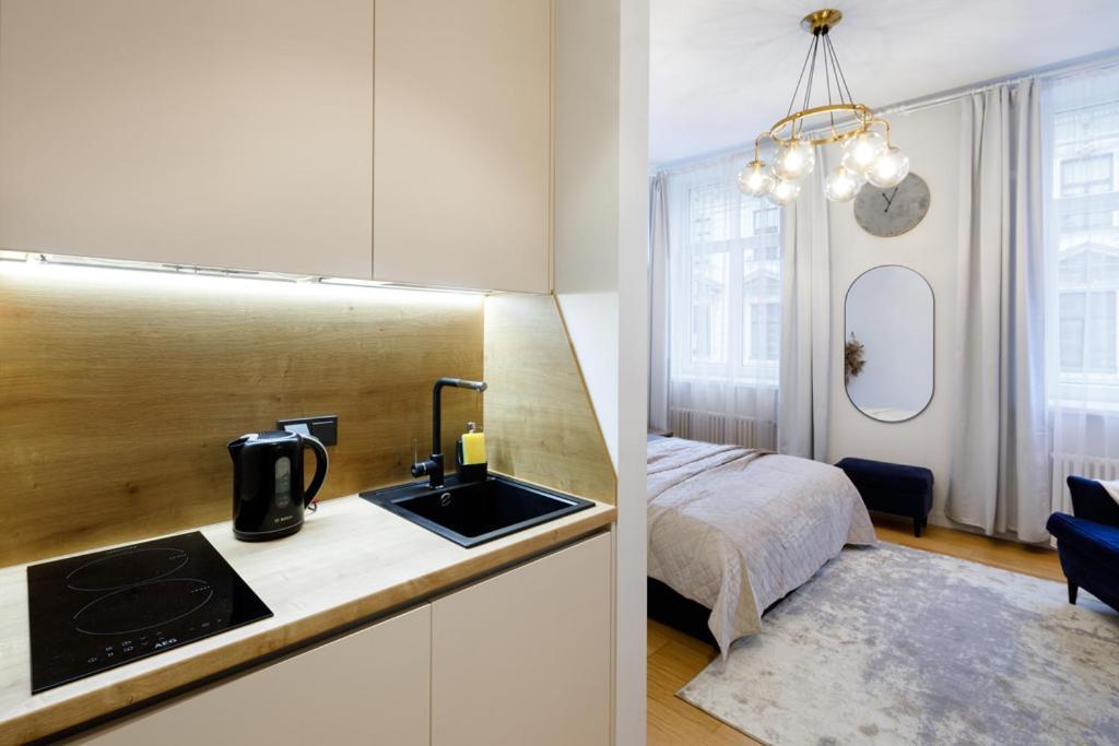 Kalnina Street Studio Apartment リガ エクステリア 写真
